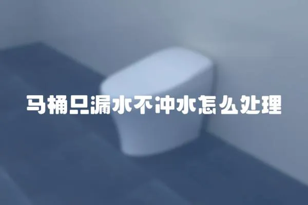馬桶只漏水不沖水怎么處理