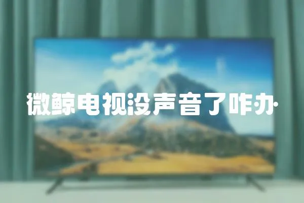 微鯨電視沒聲音了咋辦