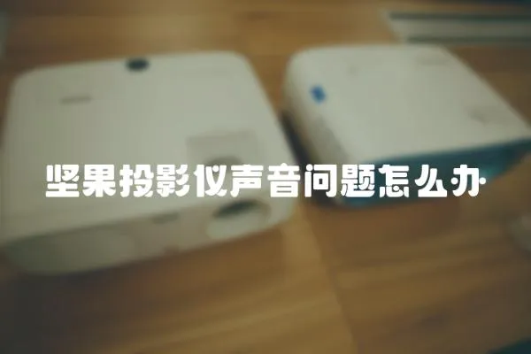 堅果投影儀聲音問題怎么辦
