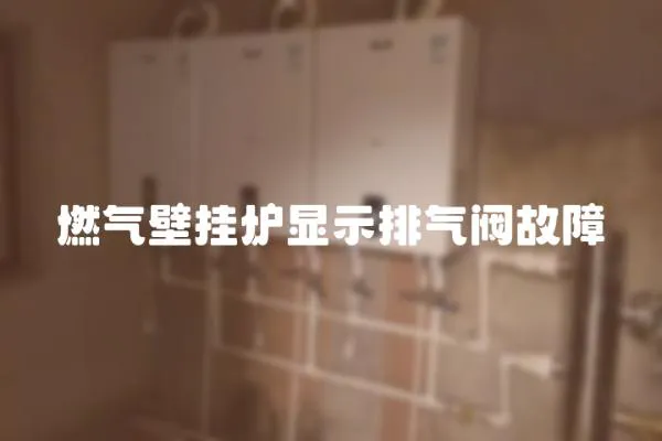 燃?xì)獗趻鞝t顯示排氣閥故障