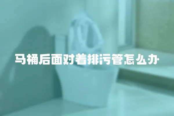 馬桶后面對(duì)著排污管怎么辦