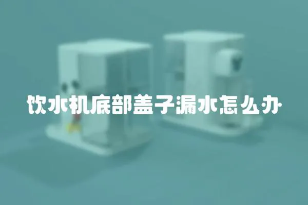 飲水機底部蓋子漏水怎么辦