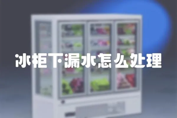 冰柜下漏水怎么處理