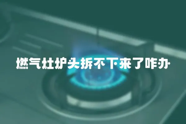 燃?xì)庠顮t頭拆不下來(lái)了咋辦