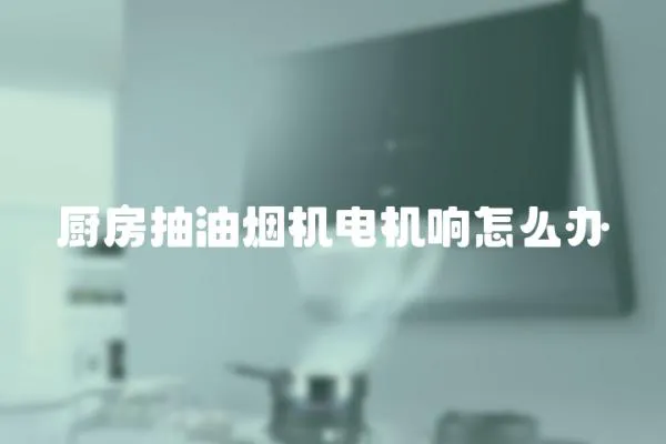 廚房抽油煙機電機響怎么辦