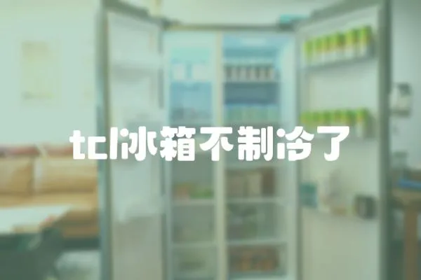 tcl冰箱不制冷了