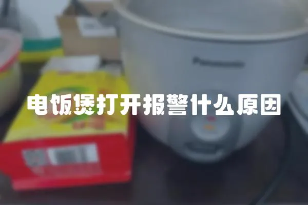 電飯煲打開報警什么原因