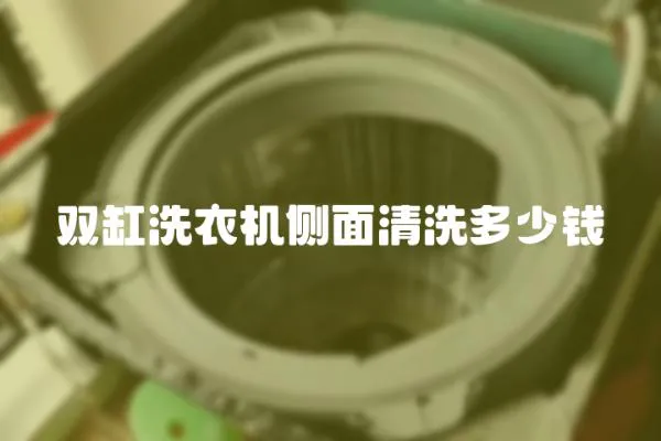 雙缸洗衣機側面清洗多少錢