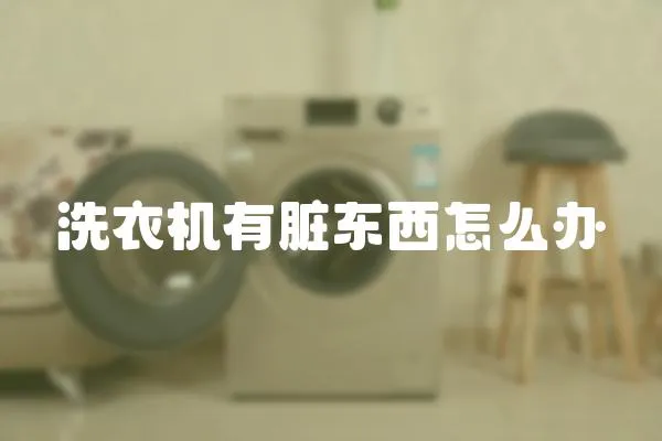 洗衣機(jī)有臟東西怎么辦