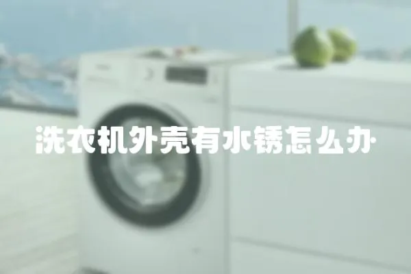 洗衣機外殼有水銹怎么辦