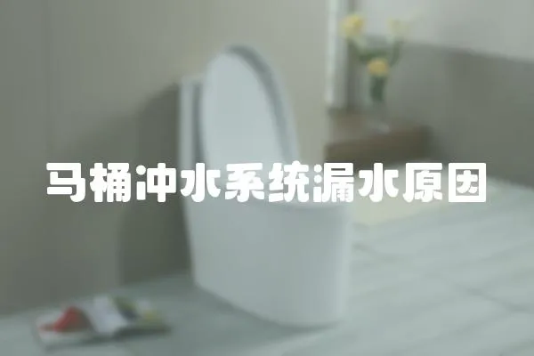 馬桶沖水系統(tǒng)漏水原因