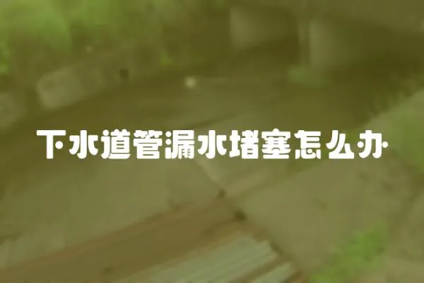 下水道管漏水堵塞怎么辦