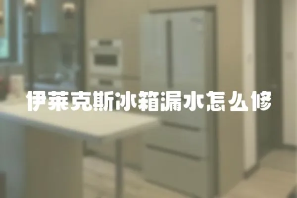伊萊克斯冰箱漏水怎么修