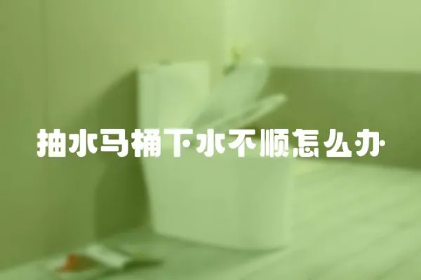 抽水馬桶下水不順怎么辦