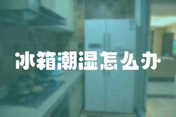 冰箱潮濕怎么辦