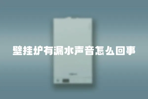 壁掛爐有漏水聲音怎么回事