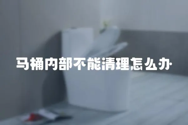 馬桶內部不能清理怎么辦