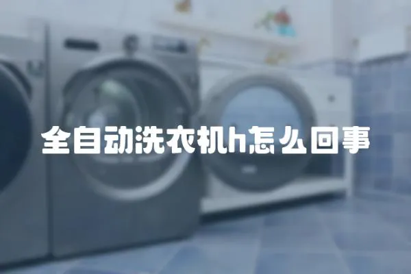 全自動洗衣機h怎么回事