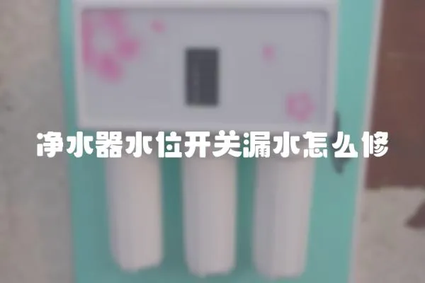 凈水器水位開(kāi)關(guān)漏水怎么修