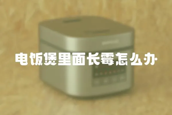 電飯煲里面長霉怎么辦