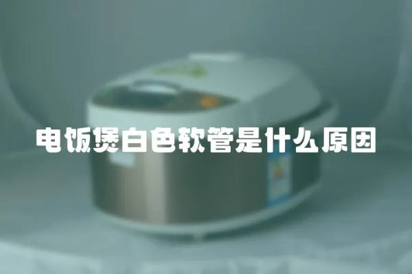 電飯煲白色軟管是什么原因