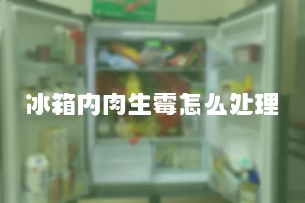 冰箱內肉生霉怎么處理