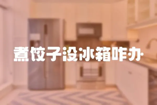 煮餃子沒(méi)冰箱咋辦