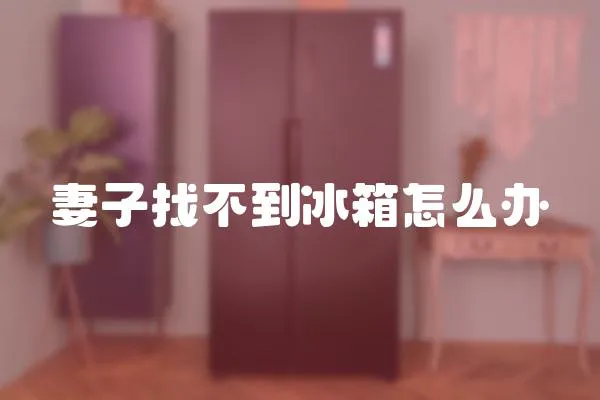 妻子找不到冰箱怎么辦