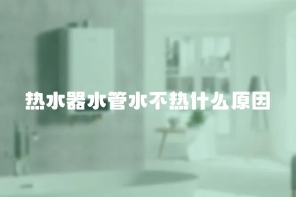 熱水器水管水不熱什么原因