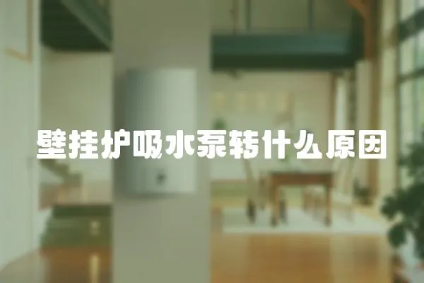 壁掛爐吸水泵轉(zhuǎn)什么原因