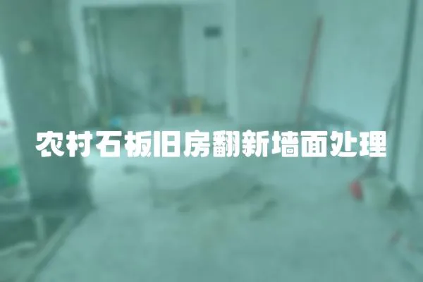 農(nóng)村石板舊房翻新墻面處理