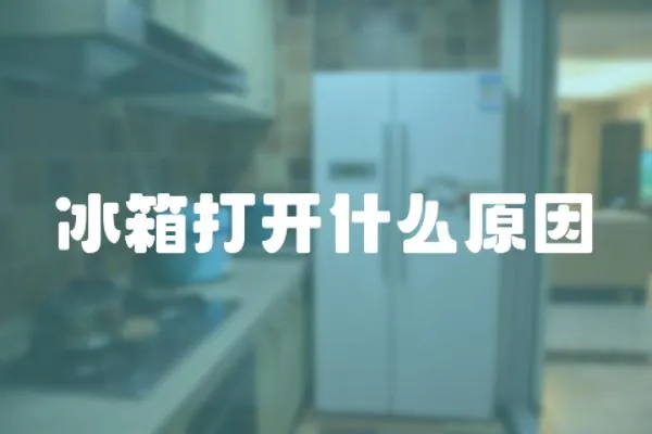 冰箱打開什么原因