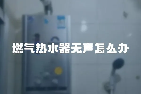 燃氣熱水器無聲怎么辦
