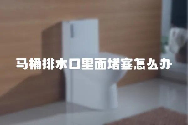 馬桶排水口里面堵塞怎么辦