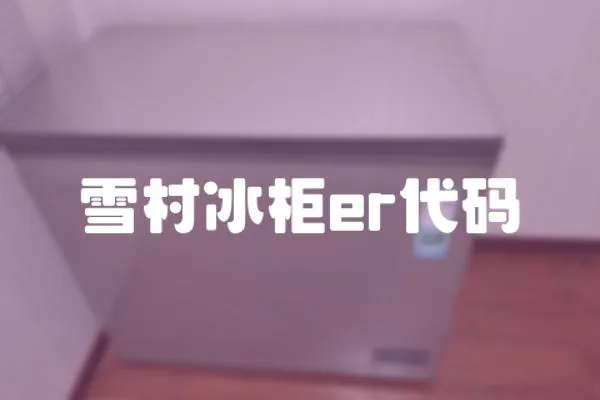 雪村冰柜er代码