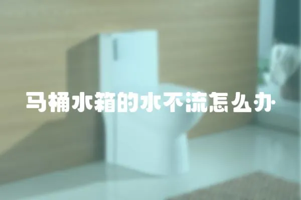 馬桶水箱的水不流怎么辦