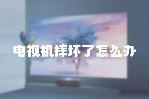 電視機(jī)摔壞了怎么辦