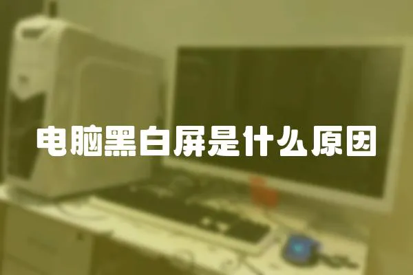 電腦黑白屏是什么原因