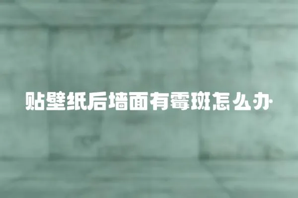 貼壁紙后墻面有霉斑怎么辦