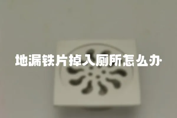 地漏鐵片掉入廁所怎么辦