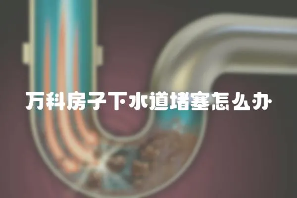 萬科房子下水道堵塞怎么辦