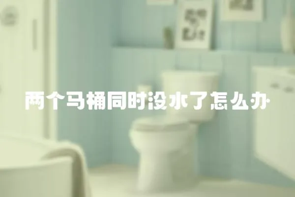 兩個馬桶同時沒水了怎么辦