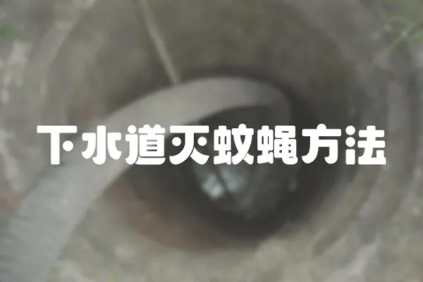 下水道滅蚊蠅方法