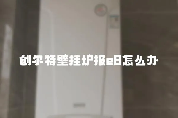 創(chuàng)爾特壁掛爐報(bào)e8怎么辦