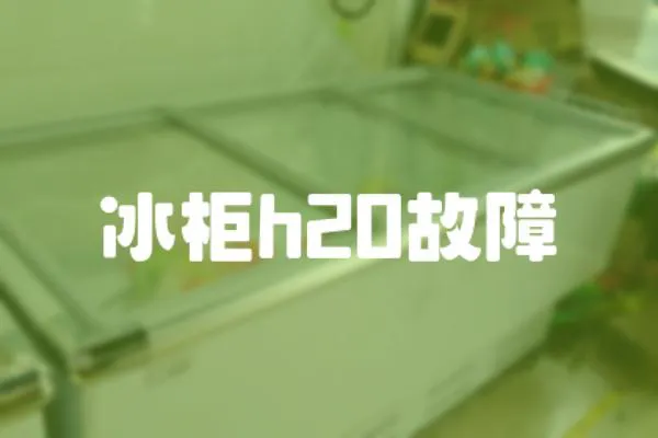 冰柜h20故障