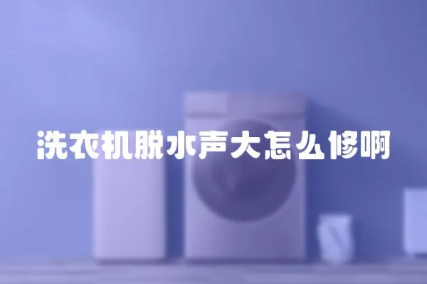 洗衣機(jī)脫水聲大怎么修啊