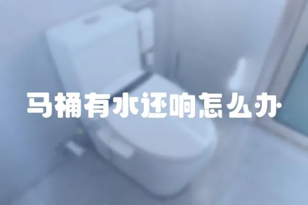 馬桶有水還響怎么辦