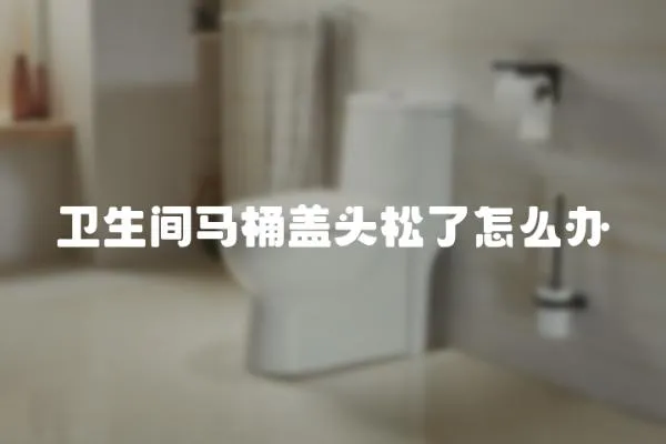 衛生間馬桶蓋頭松了怎么辦