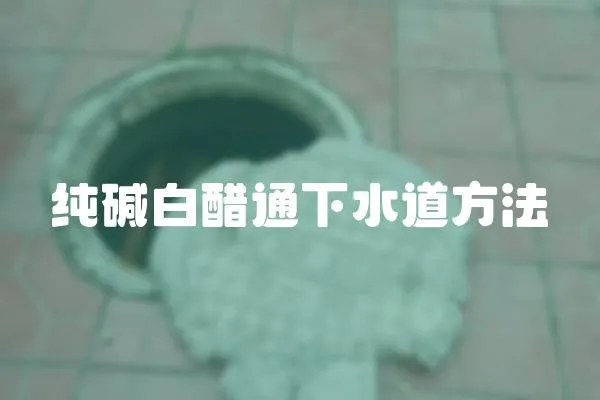 純堿白醋通下水道方法