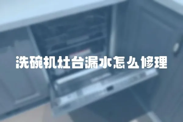 洗碗機灶臺漏水怎么修理